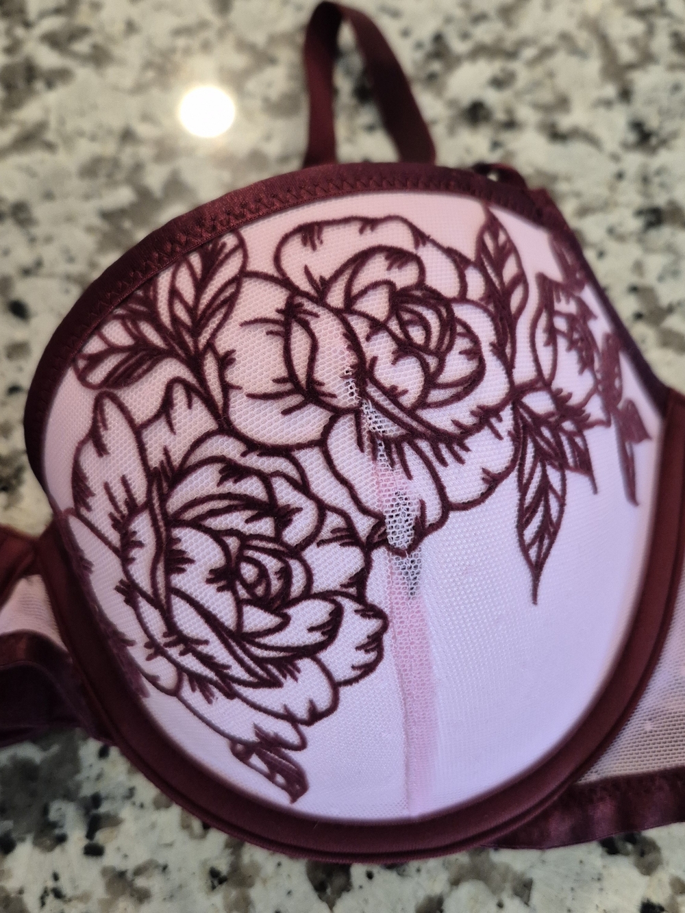 Rare VS PINK Retired Wild Rose Embroidery Balconette Push Up Bra 38B - Picture 2 of 9